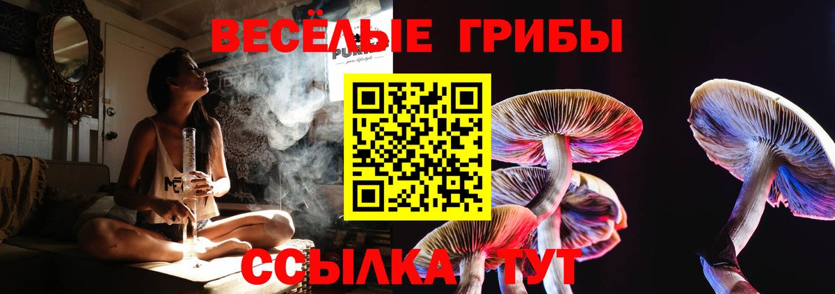 Галлюциногенные грибы мухоморы Кизилюрт